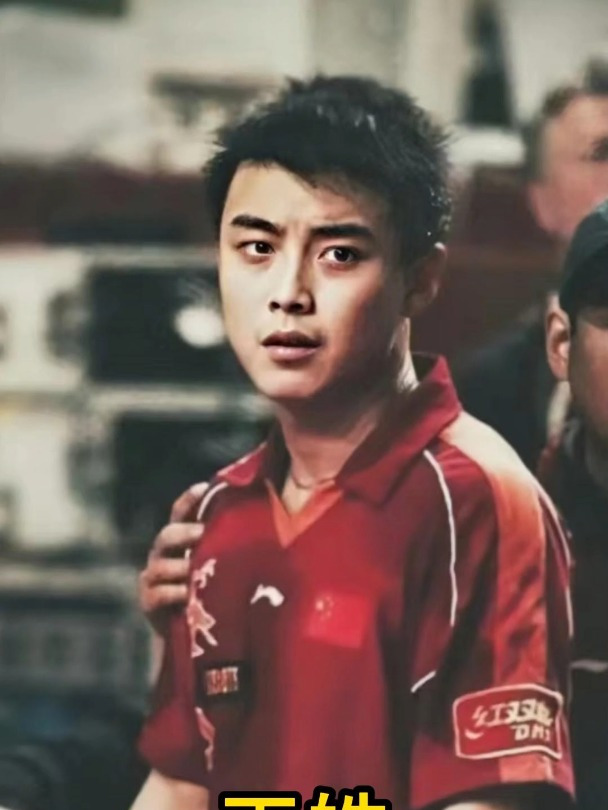 法国乒乓球队绝杀波兰乒乓球队，王皓惊艳世界的简单介绍