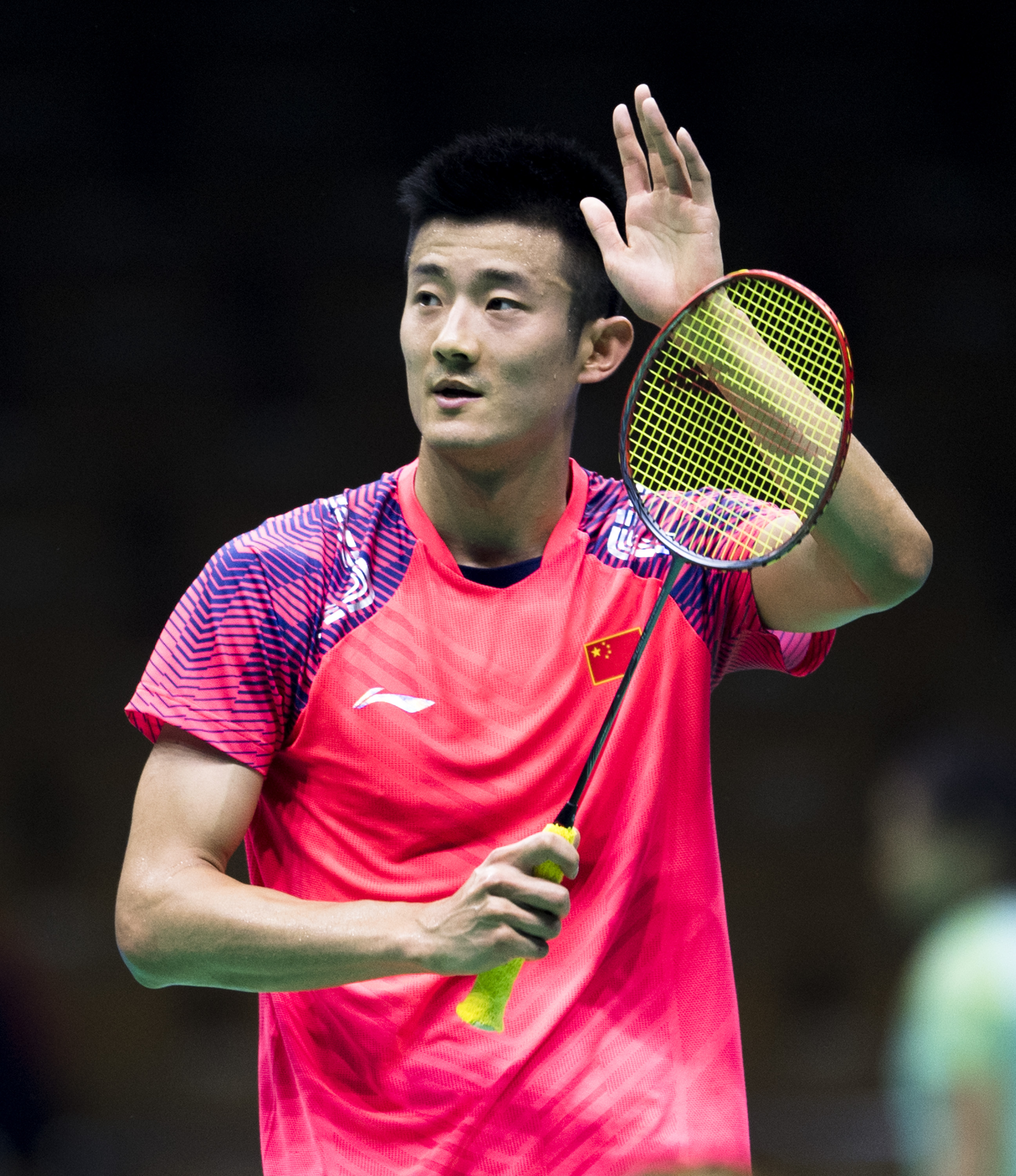 中国羽毛球队绝杀日本羽毛球队，谌龙绝境逆转的简单介绍