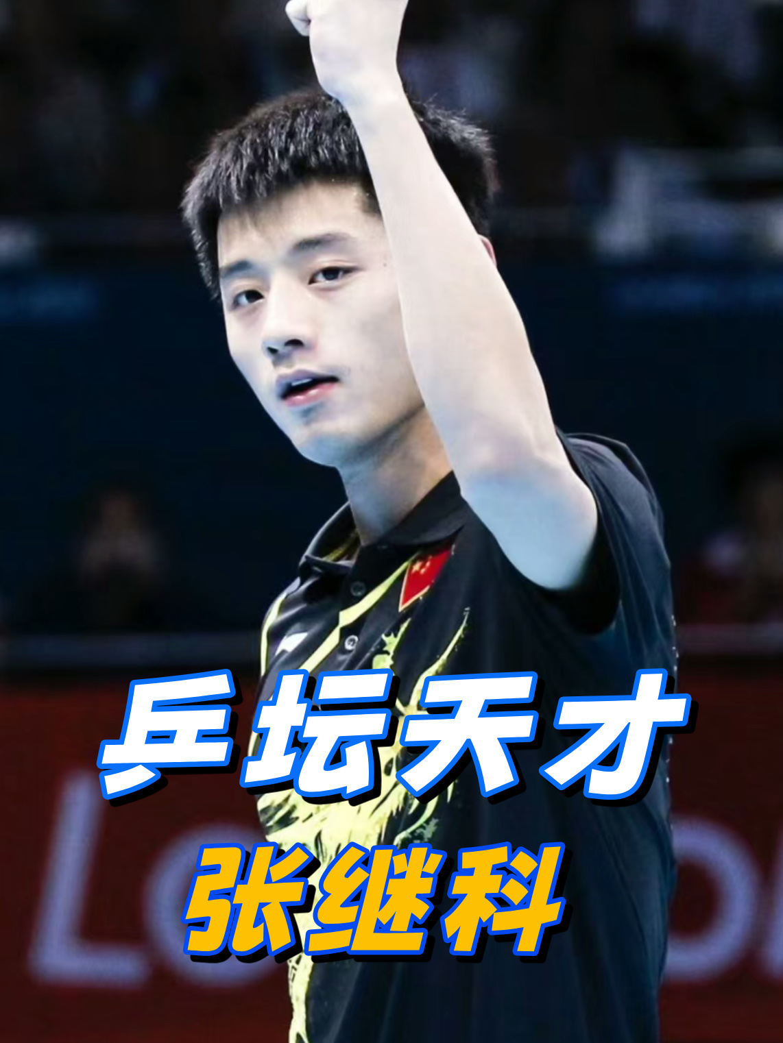 韩国乒乓球队血洗中国乒乓球队,张继科惊艳世界的简单介绍 韩国乒乓球队血洗中国乒乓球队,张继科惊艳世界的简单介绍